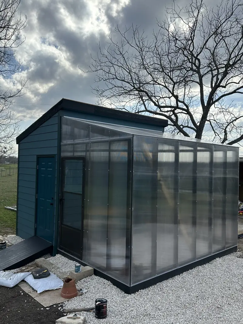 Polycarbonate greenhouse joined to a blue lap-sided shed, with a ramp to the shed door and white gravel.